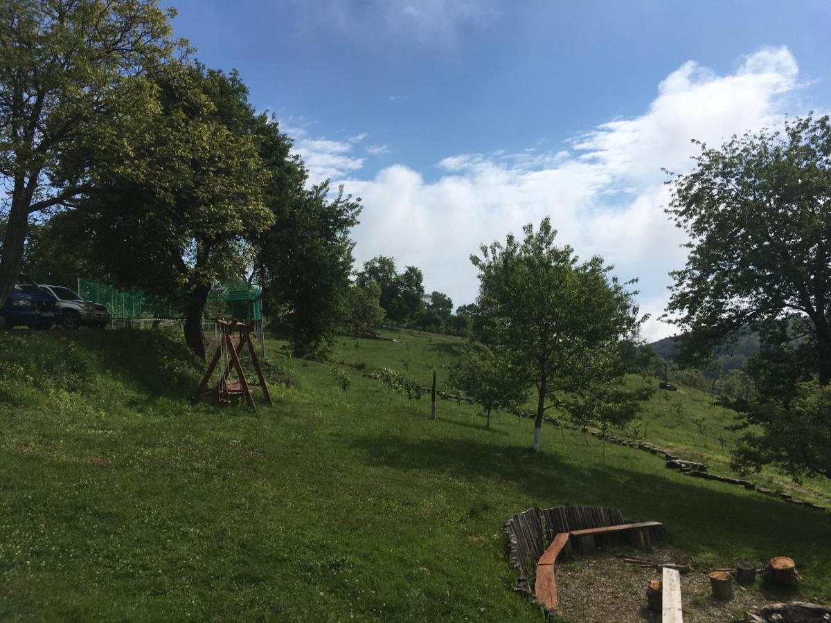 Rose Hip Hill Farm Acomodação com café da manhã Valea Tirnei Exterior foto