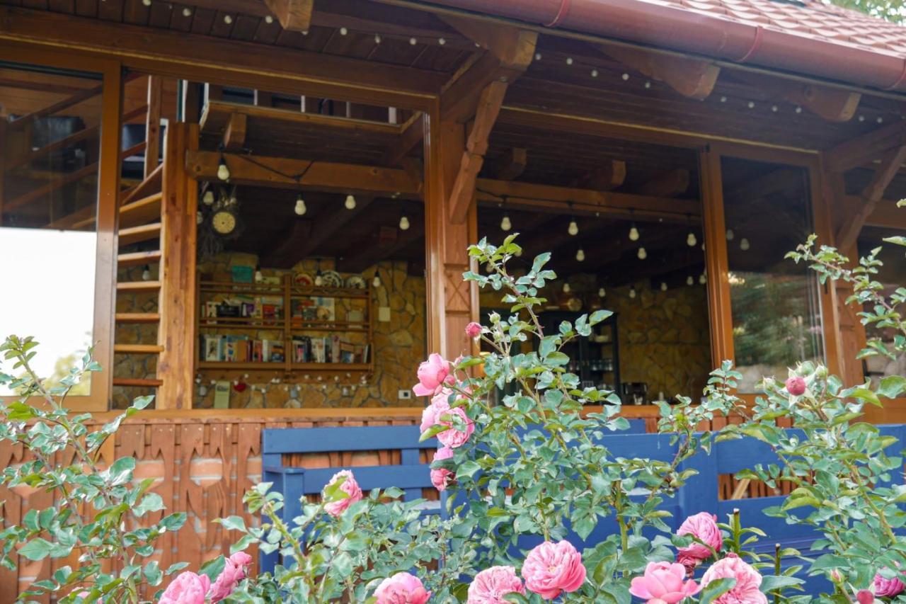 Rose Hip Hill Farm Acomodação com café da manhã Valea Tirnei Exterior foto