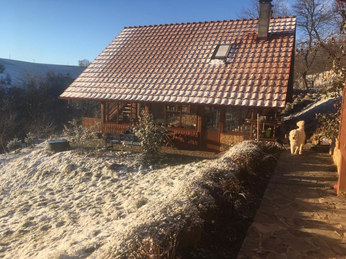 Rose Hip Hill Farm Acomodação com café da manhã Valea Tirnei Exterior foto